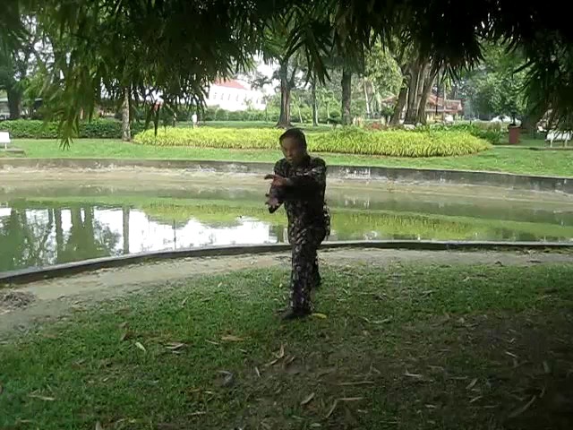 Shaolin 72 Chin-Na Techniques 2015